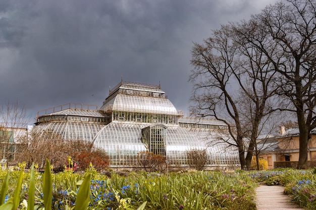 Russia Saint Petersburg Peter the Great Botanical garden