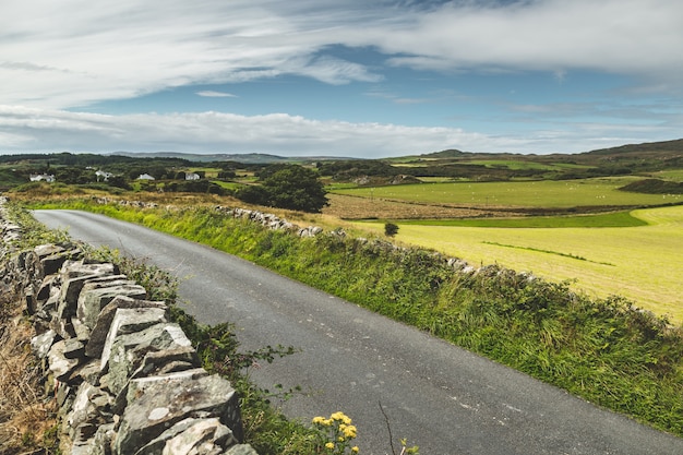 Rustic asphalt road and field