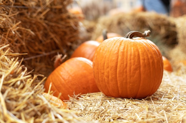 Rustic Fall Pumpkins and straw Background. Autumn festival.