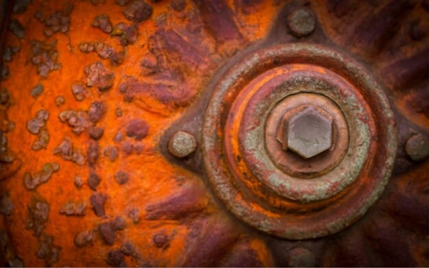 Rustic Microcosms Macro Photography Unveiling Rust's Intricate Tapestry