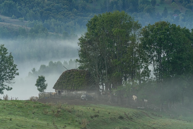 Rustic sheepfold in Apuseni mountains in Romania.