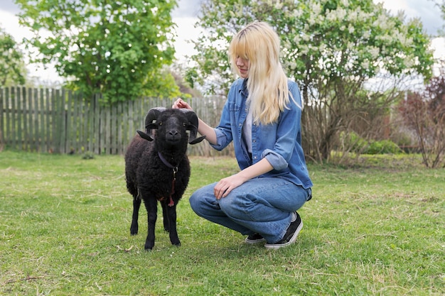 Rustic style small animal farm young woman teenager play touching black ram