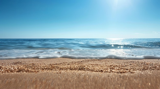 Rustic Summer Greeting on a Peaceful Beach