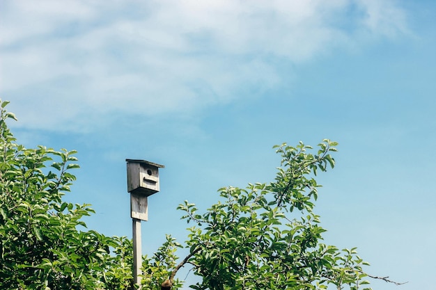 Rustic wooden birdhouse hight in the sky summer home space for text