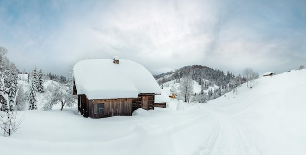 Rustic wooden house in snowdrifts on the slopes in winter Ukrainian Carpathian Mountains in cloudy weather