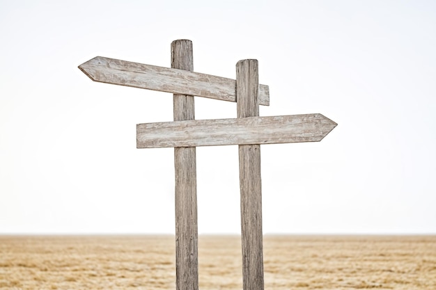 Rustic Wooden Signpost with Two Blank Arrows