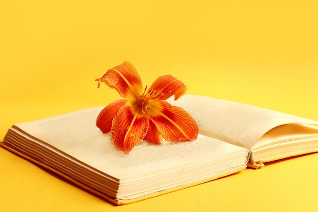 The rustle of old books is a pleasure orange daylily flower on the pages of the book yellow background space for text