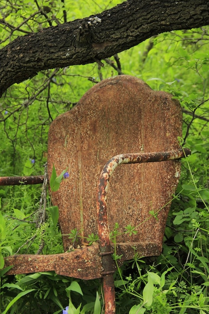 Photo rusty chair in garden