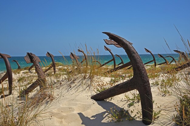 Photo rusty metallic anchors on sand at beach against clear sky