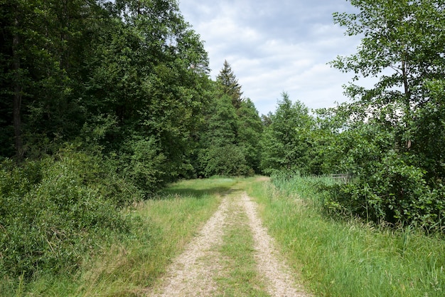 Ruts of a road for traffic in rural areas