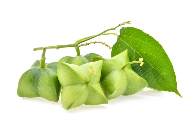 Sacha inchi peanut isolated on white background