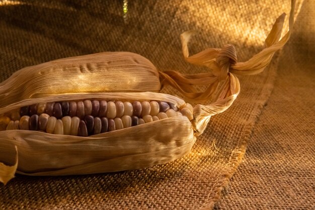 A sack of cooked corn kernels and cobs on a wooden table