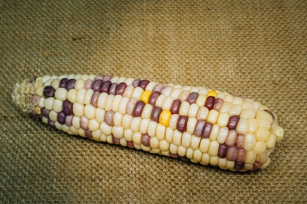 A sack of cooked corn kernels and cobs on a wooden table