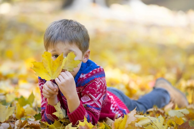 Sad charming child with autumn maple leaves The boy lies on the yellow leaves