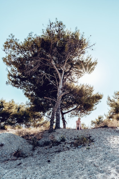 A sad and worried blonde woman sitting next to the halfdead pine tree on the rocky ground