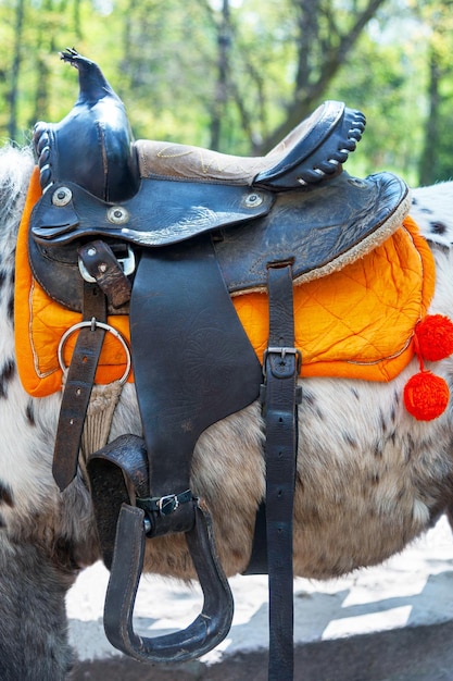 Saddle with stirrups on a back of a horse