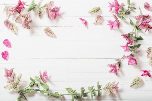 Sage decorative on white wooden table