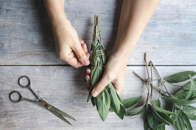 Sage smudge stick making hands wrap string around sage leaf bundle natural incense for home and meditation