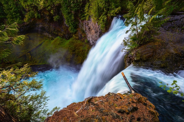 Sahalie falls on mckenzie river located in willamette national forest oregon