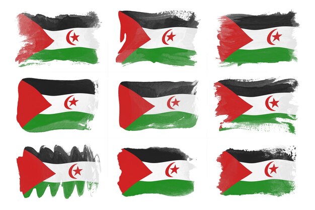 Sahrawi Arab Democratic Republic flag brush stroke, national flag on white background