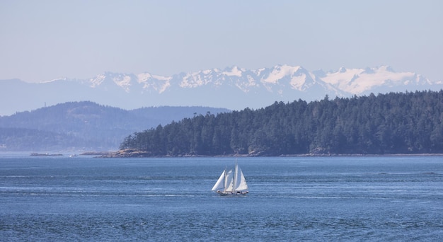 Sailboat in canadian landscape by the ocean and mountains