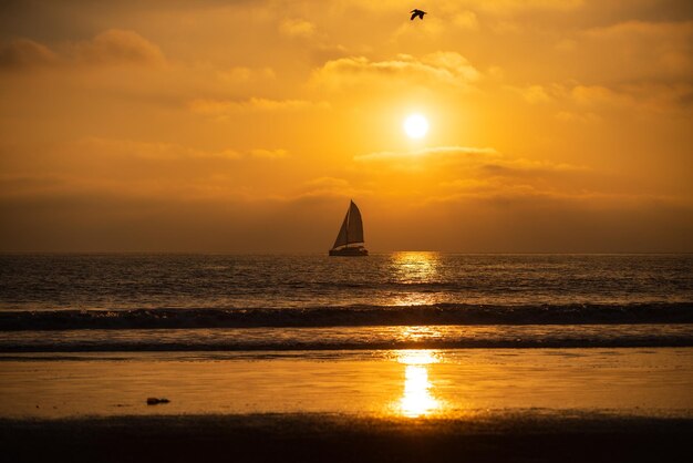 Sailboat at sea. Sunset in the sea with beautiful clouds. Sunrise ocean seascape.