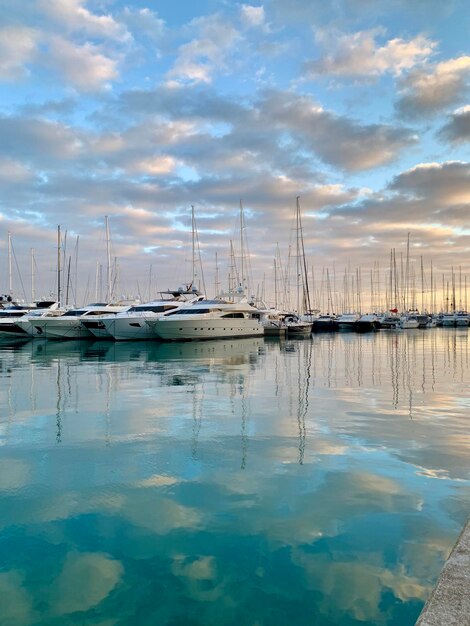 Photo sailboats in marina