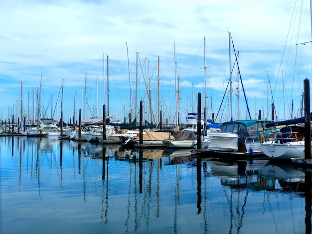 Photo sailboats moored in harbor