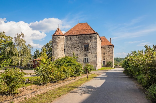 Saint Miklos Castle Chinadiyev Castle Chinadiyev Castle also known as Saint Miklos