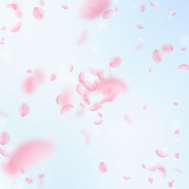 Sakura petals falling down. Romantic pink flowers explosion. Flying petals on blue sky square background. Love, romance concept. Classy wedding invitation.