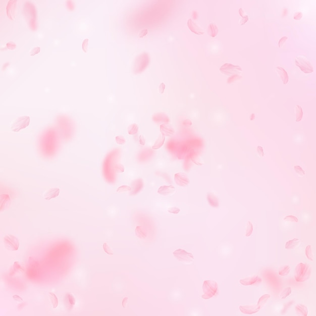 Sakura petals falling down Romantic pink flowers explosion Flying petals on pink square background Love romance concept Dramatic wedding invitation