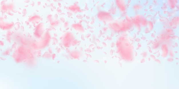 Sakura petals falling down romantic pink flowers gradient flying petals on blue sky wide background