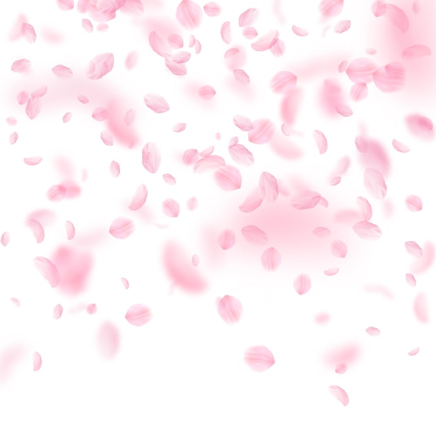 Sakura petals falling down. Romantic pink flowers gradient. Flying petals on white square background. Love, romance concept. Awesome wedding invitation.