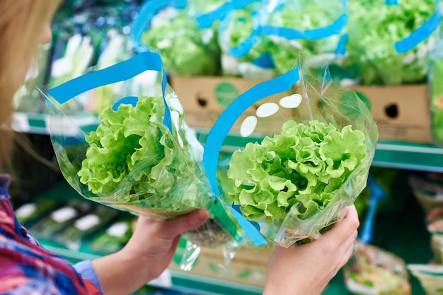 Salad green leaf in the store