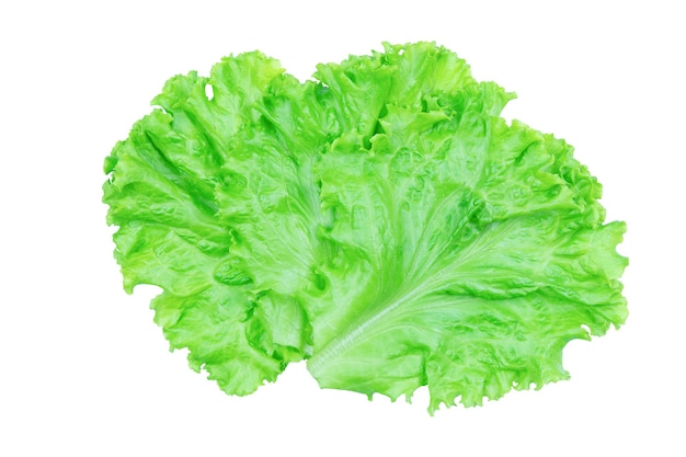 Salad leaf. Lettuce isolated on white background with clipping path