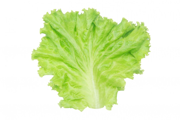 Salad leaf. Lettuce isolated on white