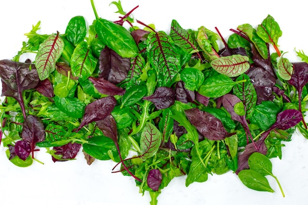 Salad leaves with lettuce radicchio and rocket as a background