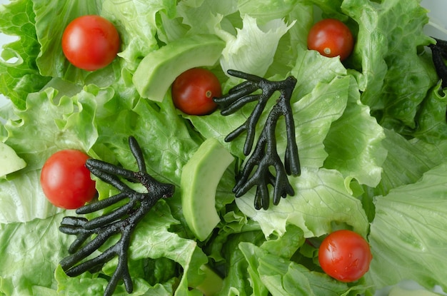 Salad of lettuce tomatoes seaweed and avocados Top view