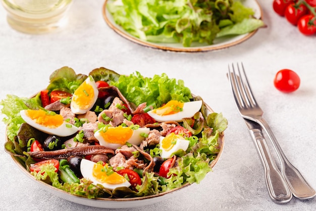 Salad Nicoise with tuna eggs green beans tomatoes olives lettuce and anchovies