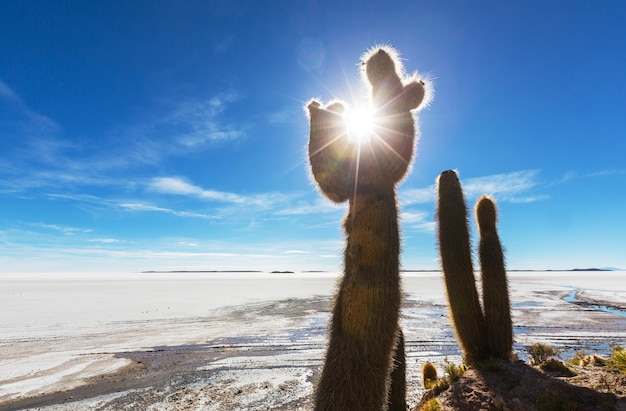 Salar de Uyuni