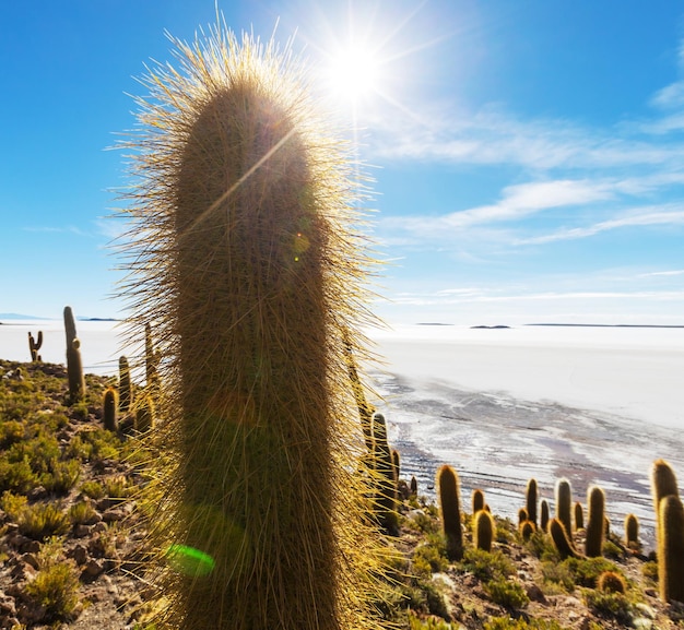 Salar de Uyuni