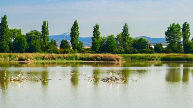 Salburua park view