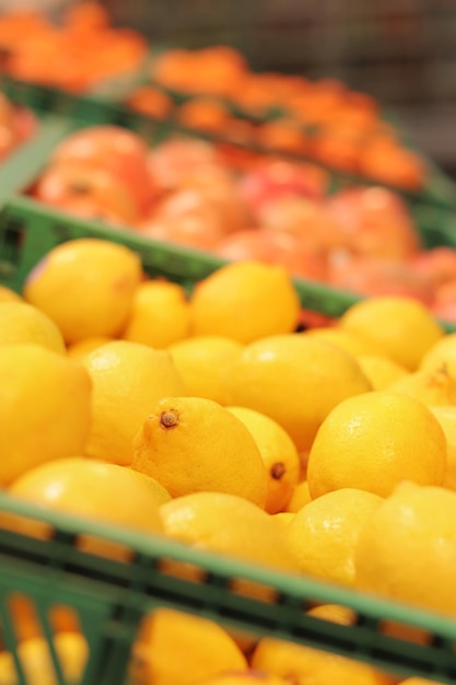 Sale of fruits in the store fruits in plastic boxes Sale of lemons selective focus