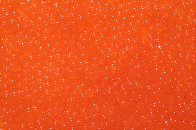 salmon eggs background