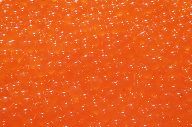 salmon eggs background