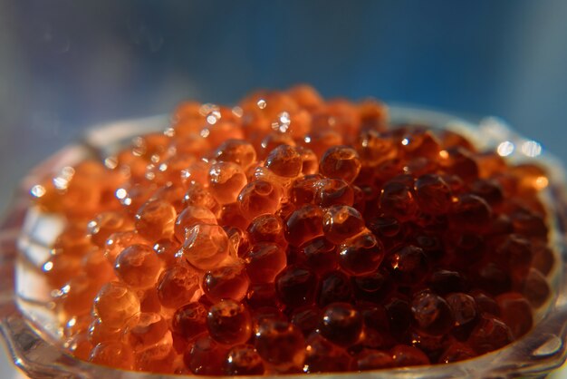 Salmon red caviar close-up, macro photo