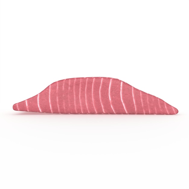 Salmon steak 3d modelling