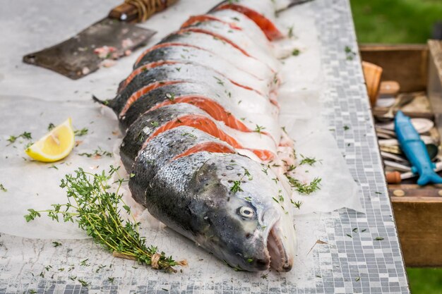 Salmon with lemon and herbs for grill