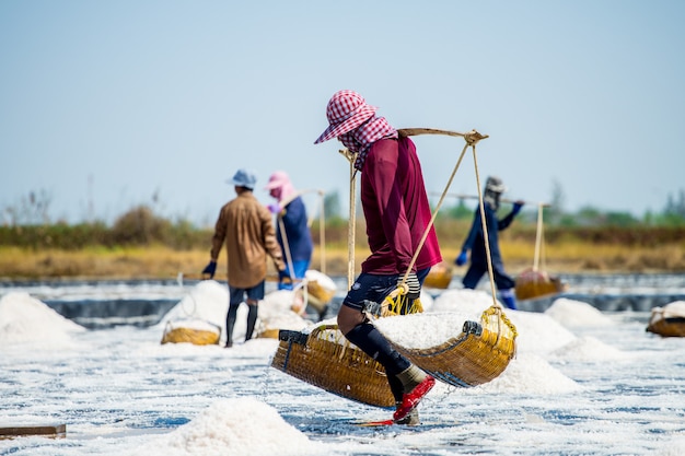 Salt farmers joint together to harvest salt at old style