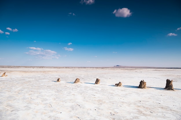 Salt lake Baskunchak in Russia.